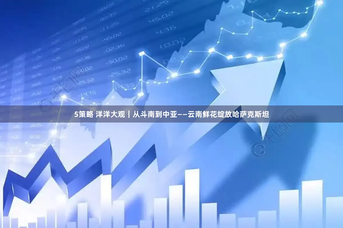 5策略 洋洋大观｜从斗南到中亚——云南鲜花绽放哈萨克斯坦